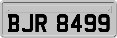 BJR8499