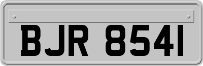 BJR8541