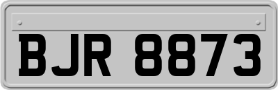 BJR8873