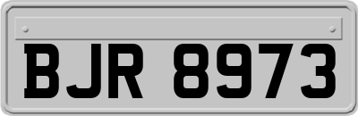 BJR8973