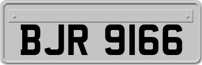 BJR9166