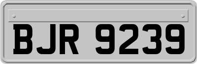 BJR9239