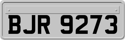 BJR9273