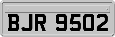 BJR9502