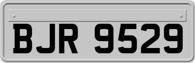 BJR9529