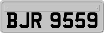 BJR9559