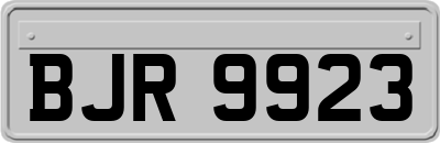 BJR9923