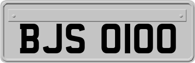 BJS0100