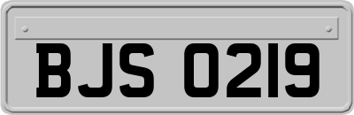 BJS0219