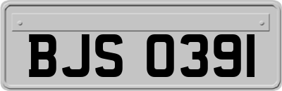 BJS0391