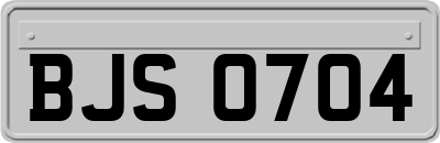 BJS0704
