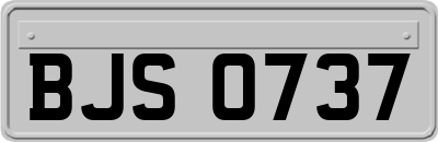 BJS0737