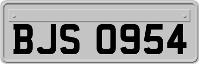 BJS0954