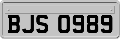 BJS0989