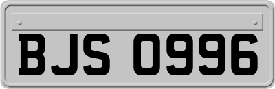 BJS0996