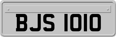 BJS1010