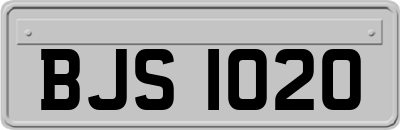 BJS1020