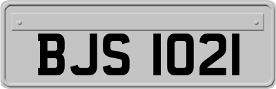 BJS1021