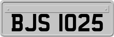 BJS1025