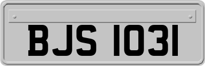 BJS1031