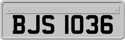 BJS1036