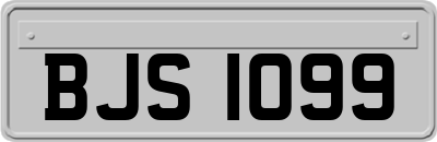BJS1099