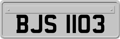 BJS1103