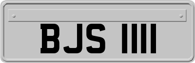 BJS1111
