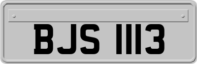 BJS1113