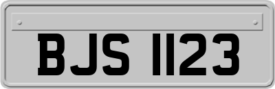 BJS1123