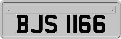 BJS1166