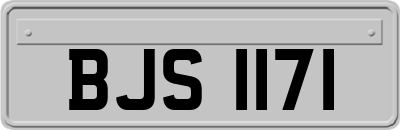BJS1171