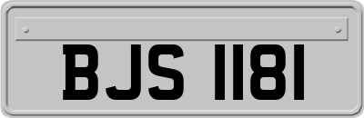BJS1181