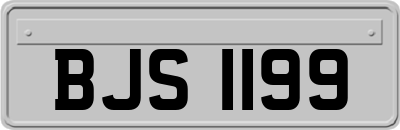 BJS1199