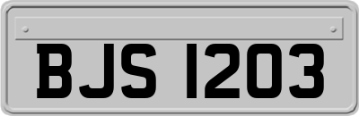 BJS1203