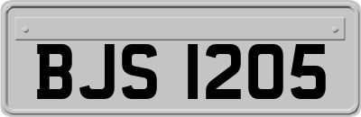 BJS1205