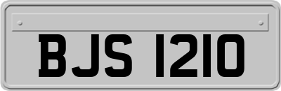 BJS1210