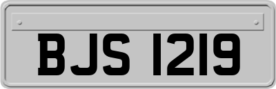 BJS1219