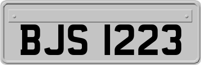BJS1223