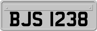 BJS1238