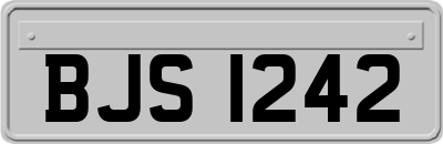 BJS1242