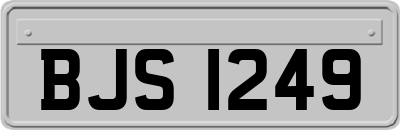 BJS1249