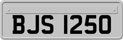 BJS1250