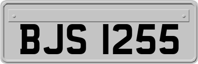 BJS1255