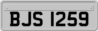 BJS1259