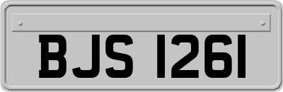 BJS1261