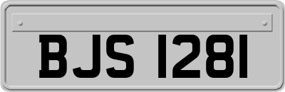 BJS1281