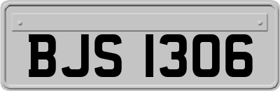 BJS1306