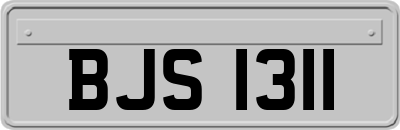 BJS1311