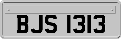 BJS1313